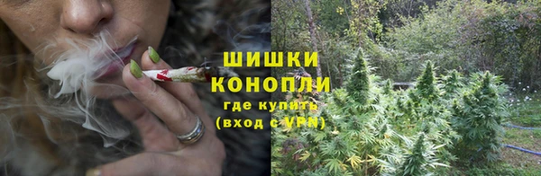 молекула духа Верея