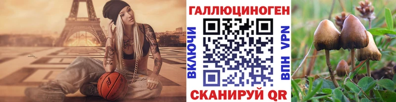 Галлюциногенные грибы мицелий  Купить  Протвино 